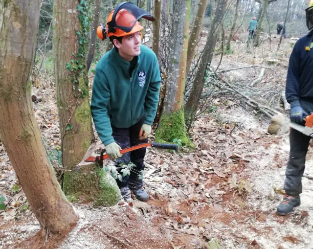 Woodland Apprentices at Borthwood Forest