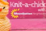 knit a chick