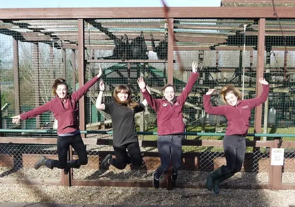 monkey haven staff jumping for joy