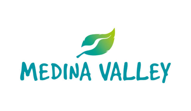 Medina Valley Logo