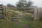 gates vandalised on ventnor downs