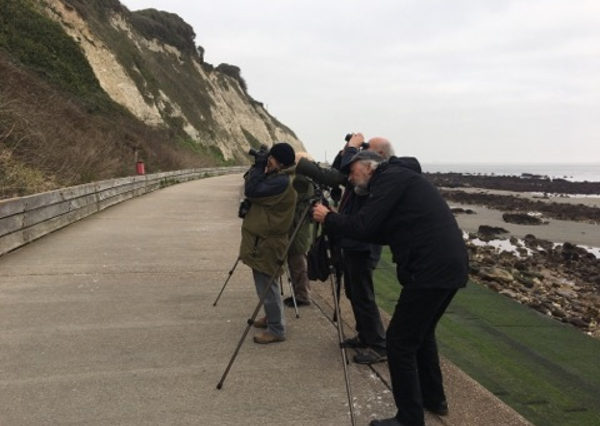 twitchers in Bonchurch by Sally Phillips