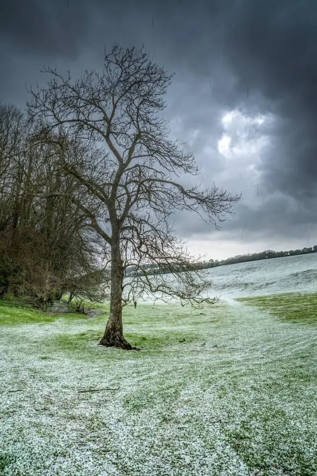 Snow in April by Jamie Russell/Island Visions Photography   