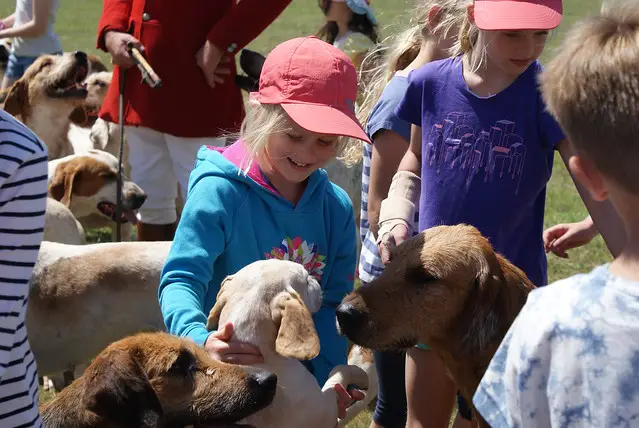 Kids petting the dogs