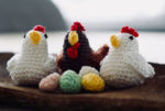 knitted chickens and eggs by Sven Brandsma on Unsplash