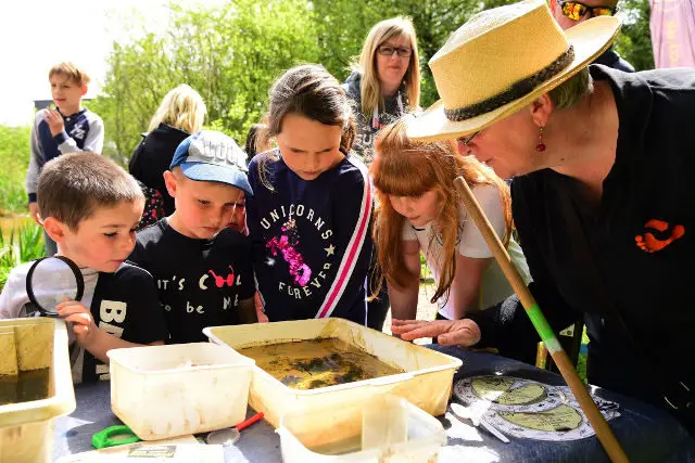 Ollie Caulfield from Sandown, Harli and Marni Daniel from Ryde and Amelia Janvrin from Lake at the pond dipping station