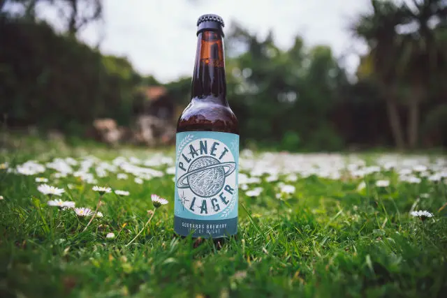 Planet Lager among the daisies
