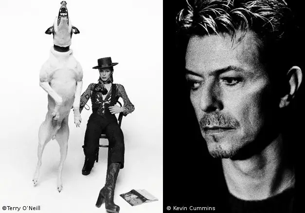 bowie by terry oneill and kevin cummins