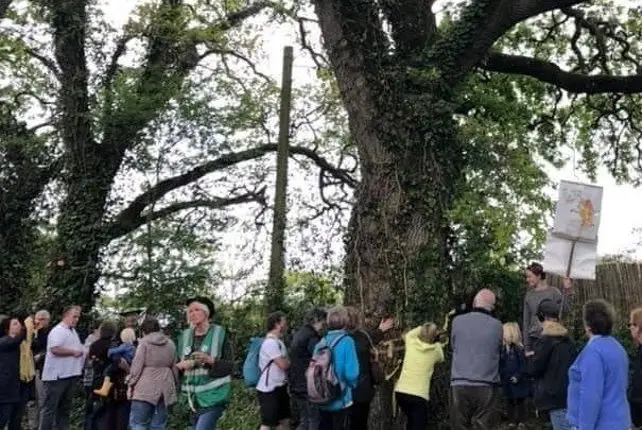 People by the oak tree