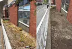 Outside the BT building before and after weeds cleared