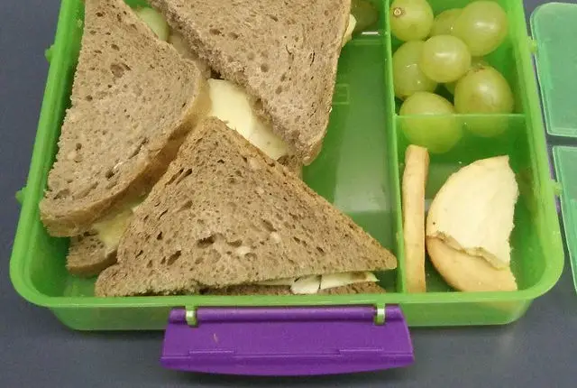 packed lunch box