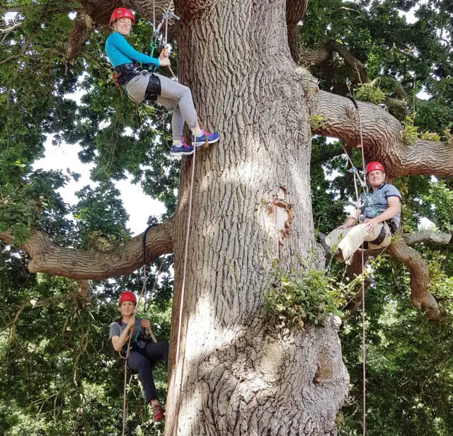 Adults tree climbing with all the gear on