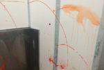 Vandalism of Post Office Lane toilets - paint on walls