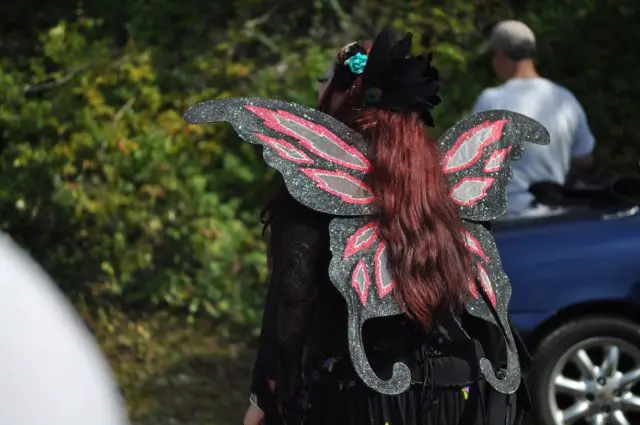 Fairy Wings at The Faerie Festival 2018