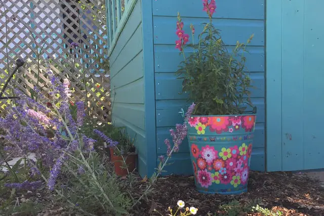 Planter filled with flowers