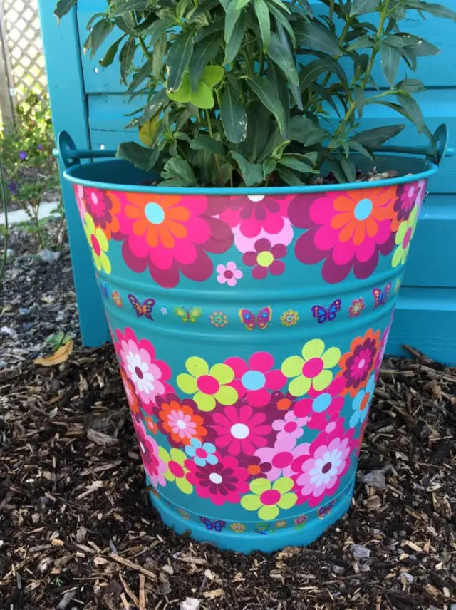 A sample flower airy bucket