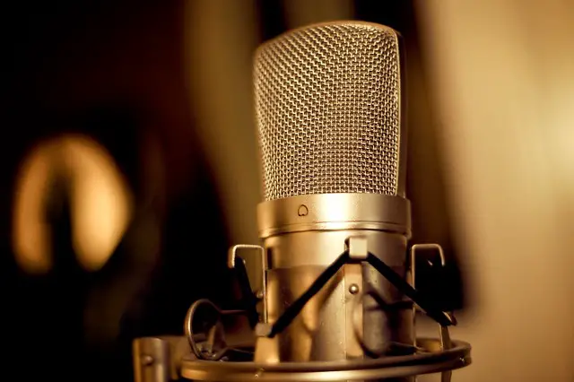 microphone with golden hues