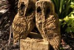 Paul Sivell owls carving