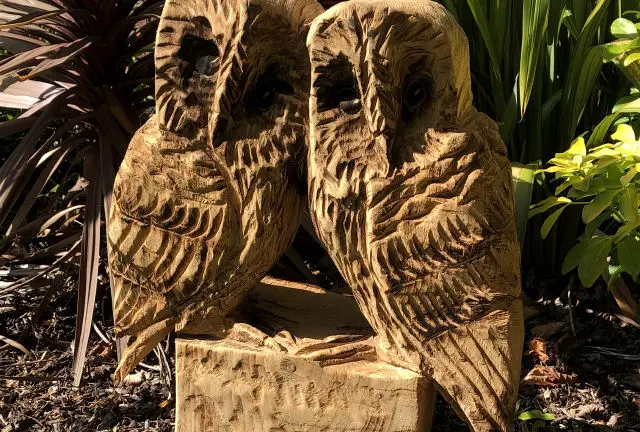 Paul Sivell owls carving