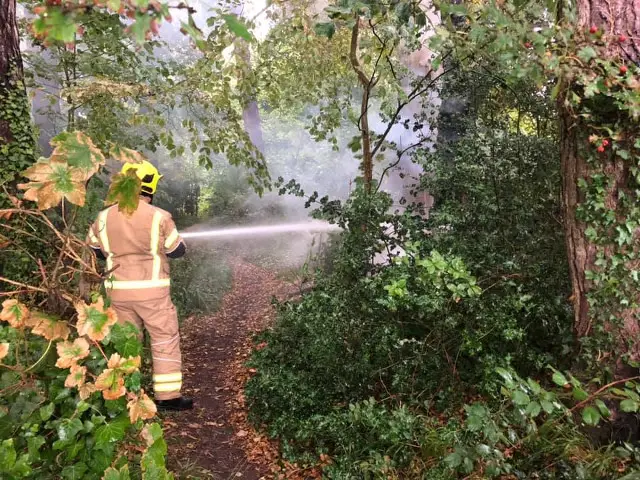 The tree fire in Totland