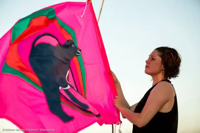 Liz Cooke's Greenpeace flag by Barbara Sanchez Palomero/Greenpeace