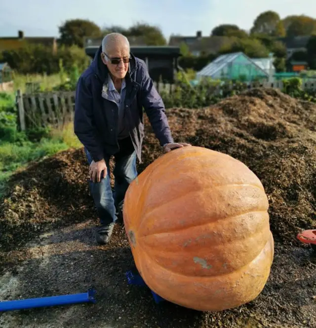 Roger Coombes with his 1st place winning pumpkin