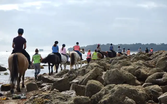 Young people horseriding on the beach