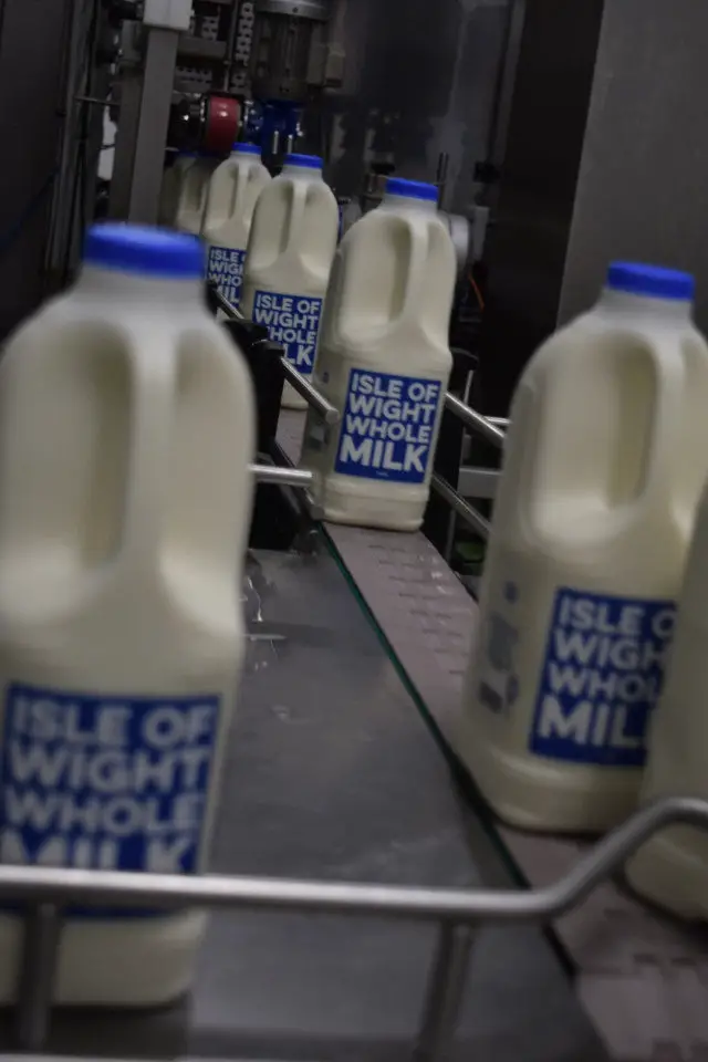 Milk bottles in production