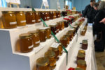 Isle of Wight honey show 2018 - shelves of honey