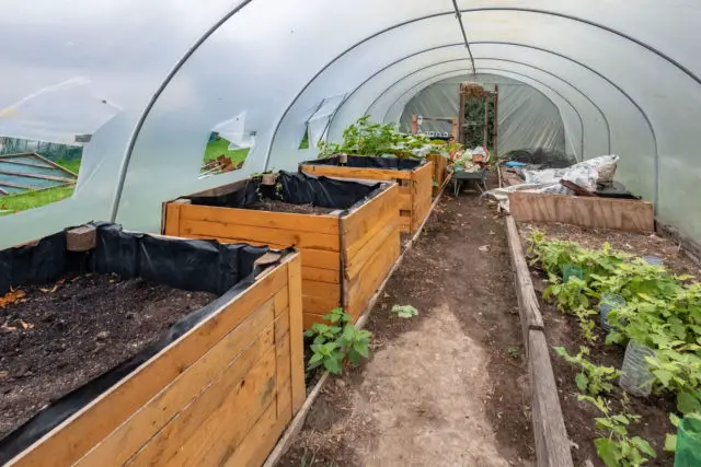 The Muddy Boots project at Quarr Abbey - the Polytunnel