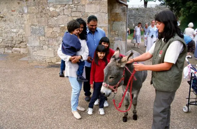 Family group visiting the donkey at Carisbrooke Castle 