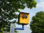 speed camera by