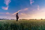 farmer standing in field and looking at the sky