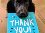 dog holding thank you card