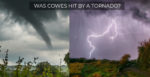 tornado and lightning