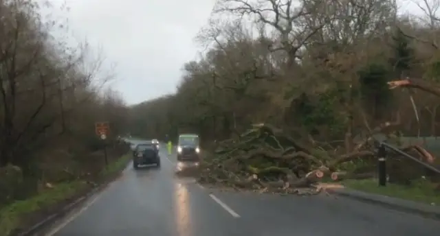 Debris being cleared after tree fall