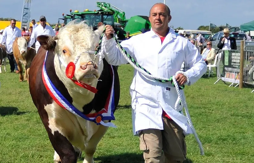 2019 Royal Isle Wight County Show Champion Bull led by Dave Thurman