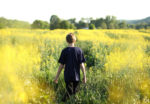 boy walking through rapeseed field