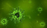coronavirus under the microscope