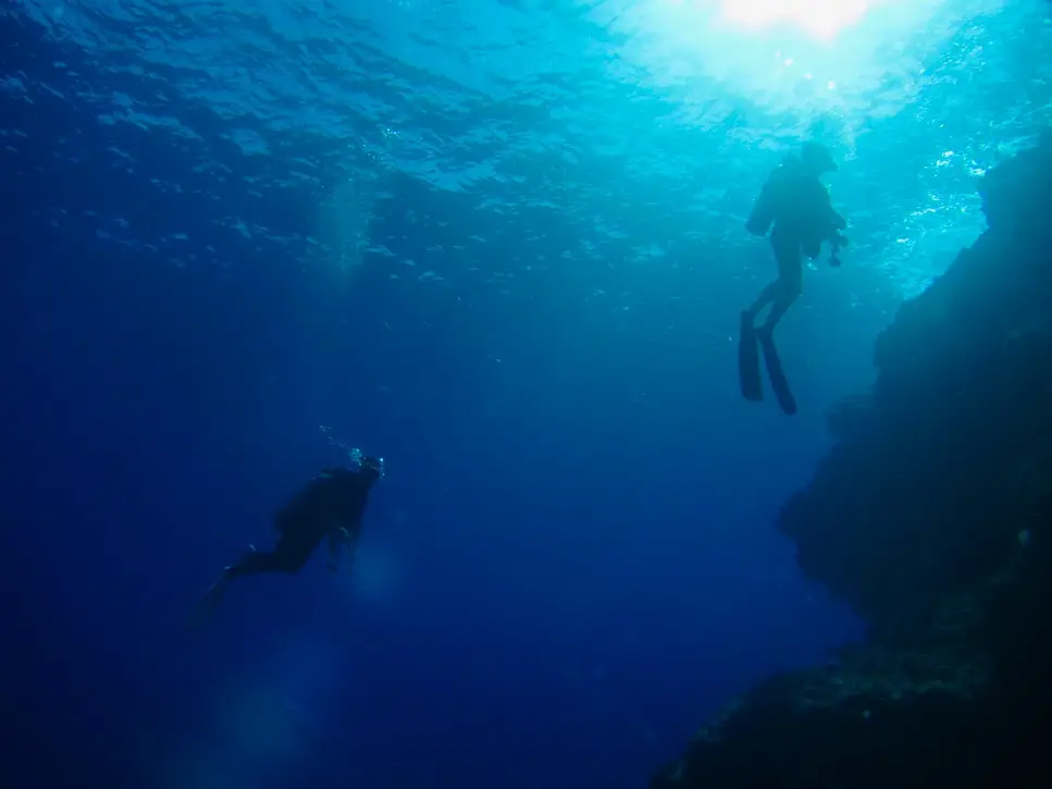 divers in sea