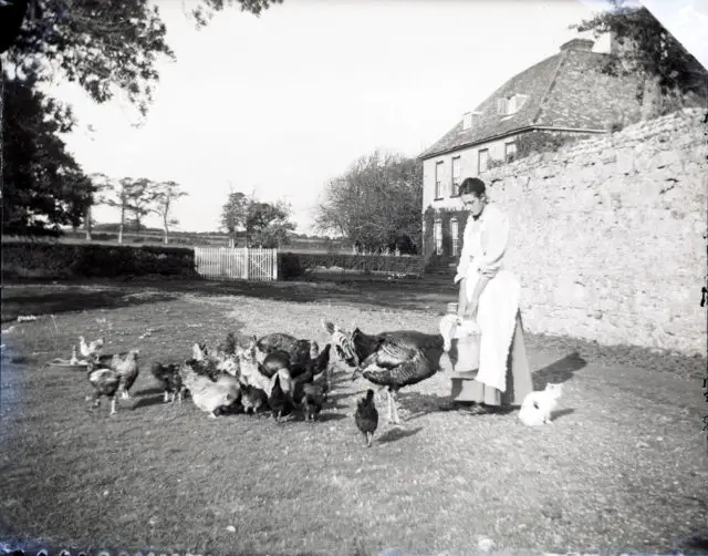 Woman feeding chickens and turkey in farmhouse yard