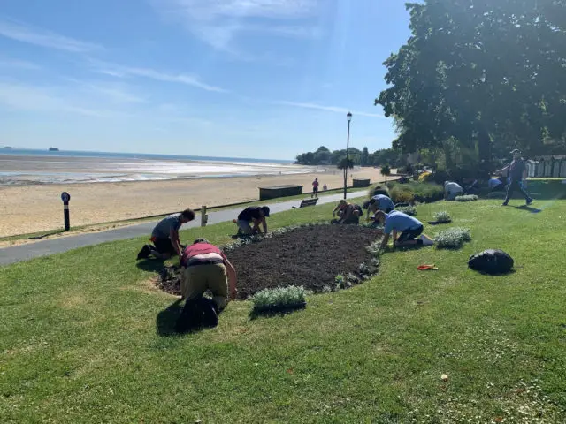 Community planting in Ryde