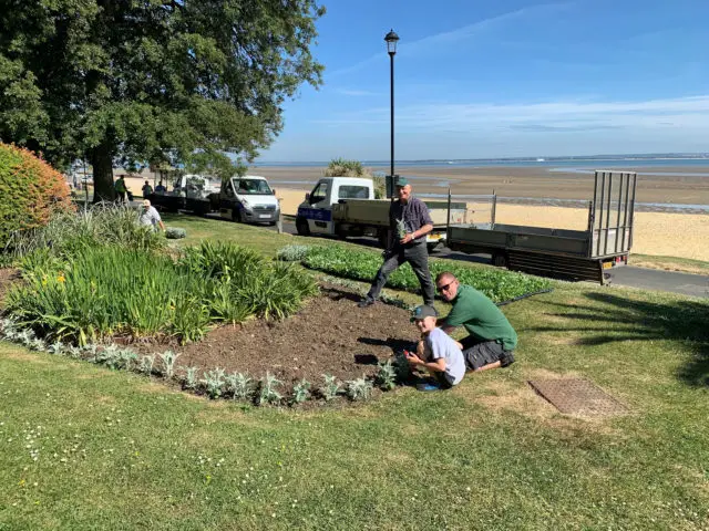 Community planting in Ryde