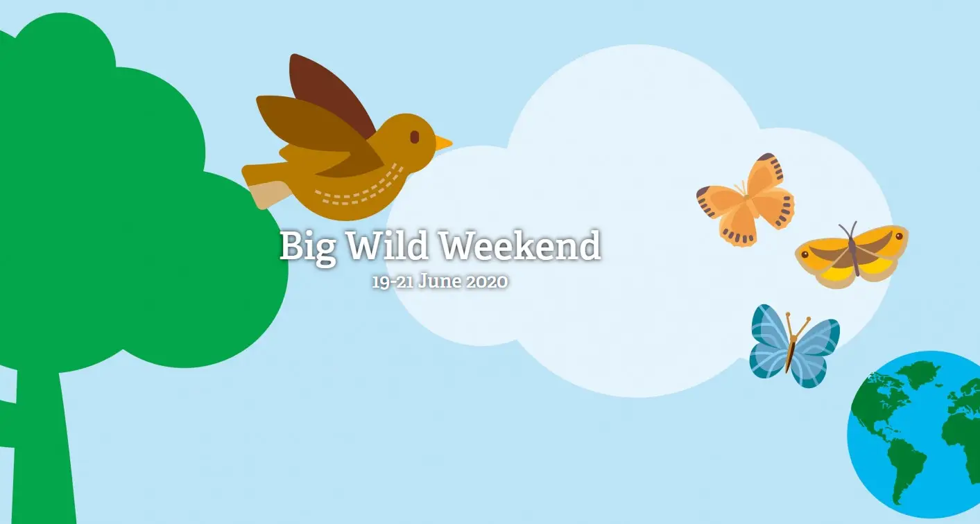 big wild weekend poster
