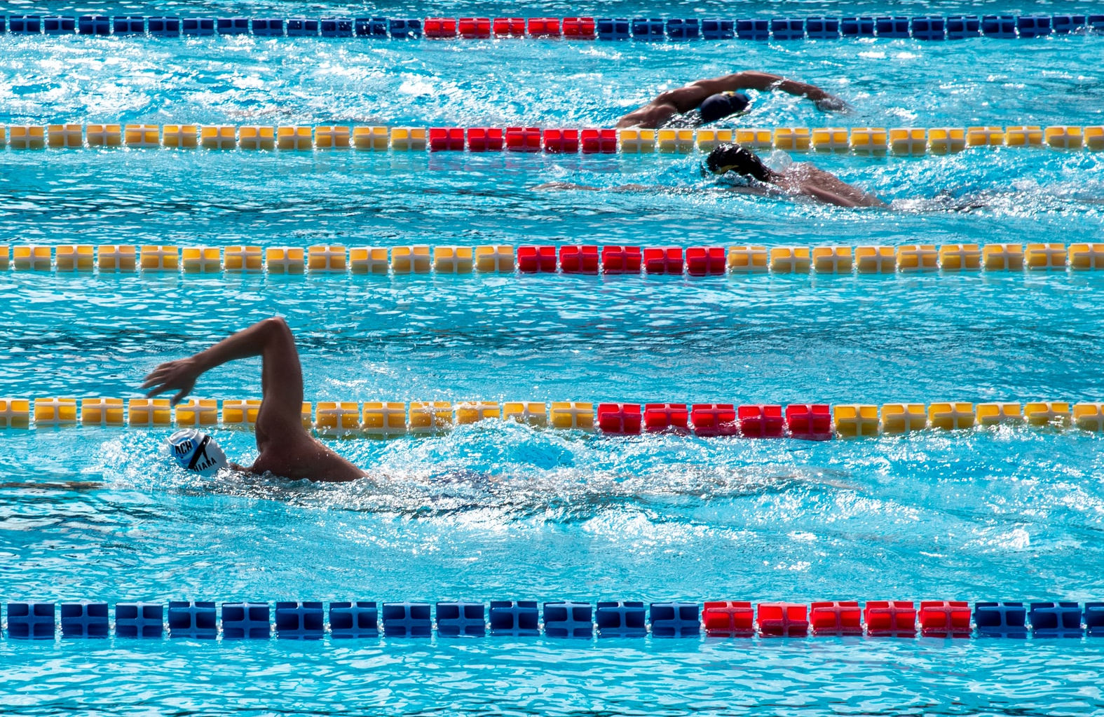 swimmers in lanes of a swimming pool