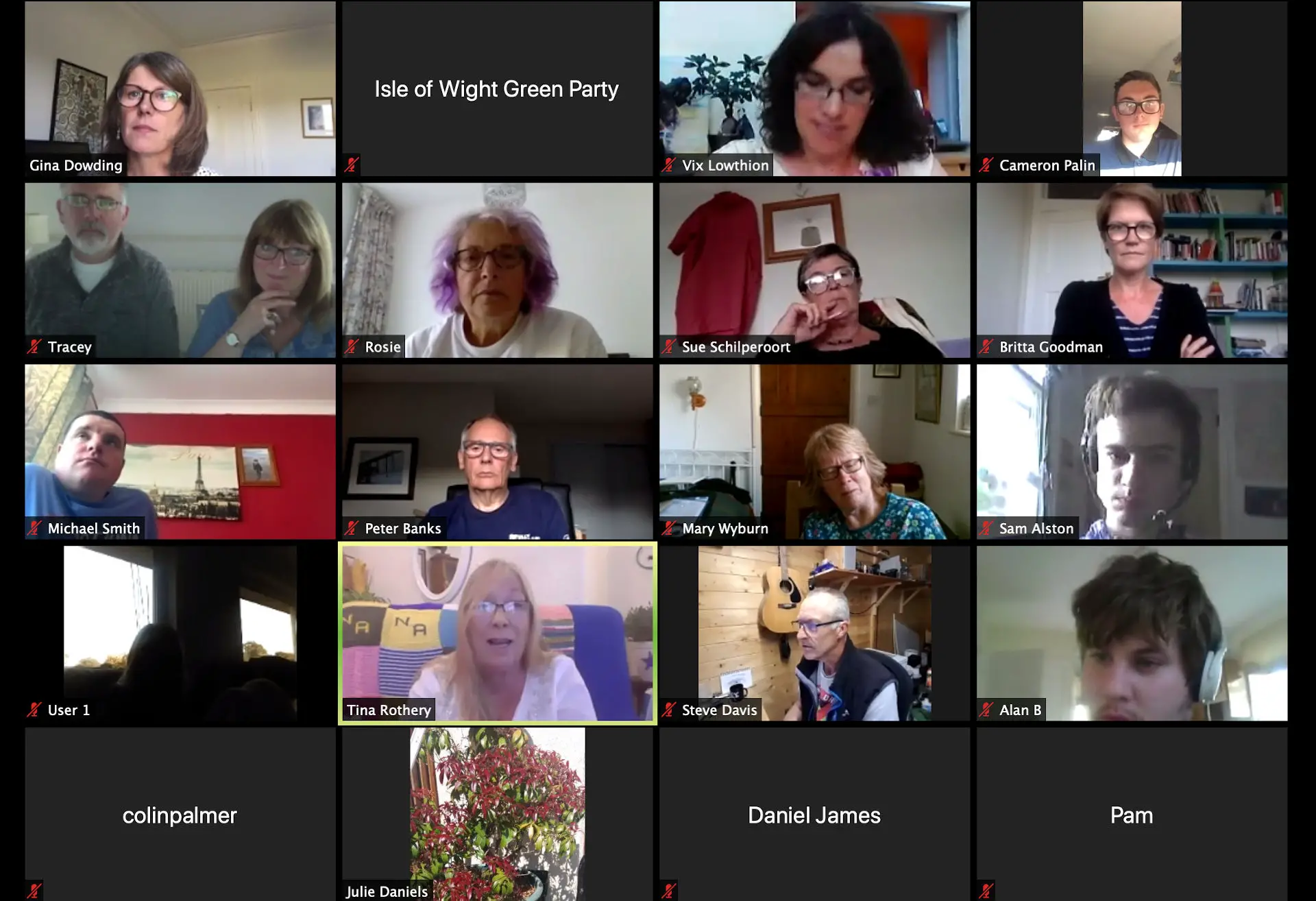zoom meeting of dont drill the wight