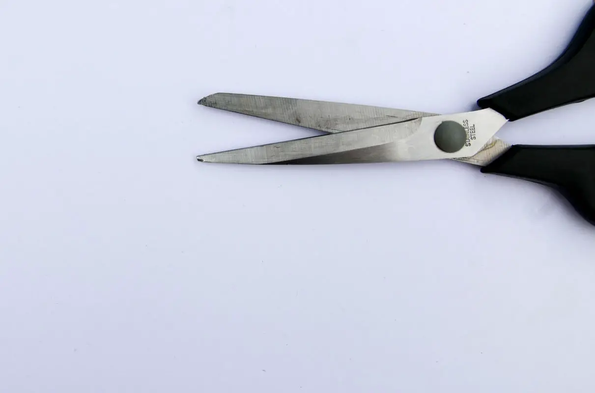pair of scissors on plain background