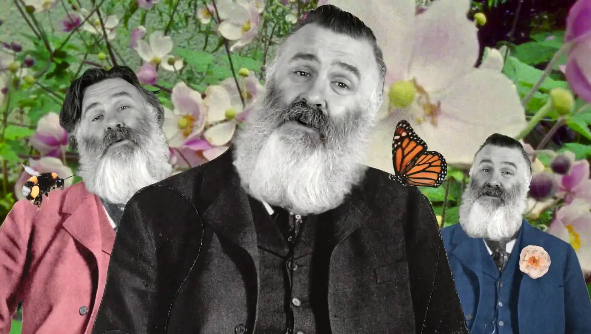 paul armfield times three and a bee and a butterfly