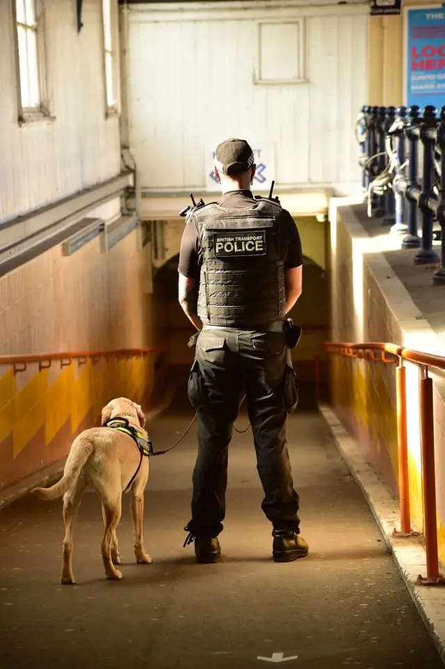 British Transport police with dog at entrance to train station tunnel
