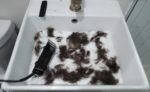 Clippers and hair in sink